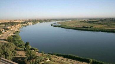 الحمداني