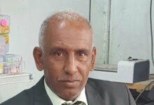 التعليم وسوق العمل