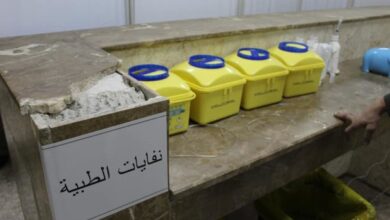 البيئة
