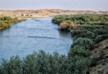الحصة المائية