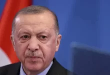 الأسد أردوغان