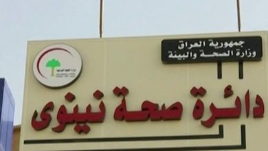في نينوى