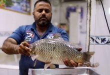 الزراعة الأسماك