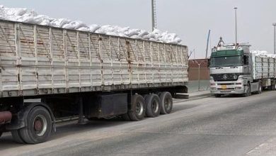 مادة الرز