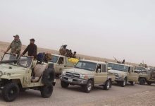 منطقة الدورة