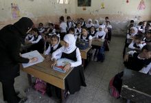 الدراسة الابتدائية