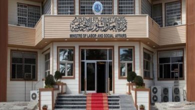 الحماية