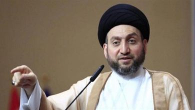السيد الحكيم