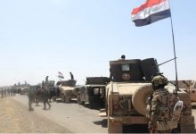 الضربات القتالية