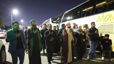 الفاطمية