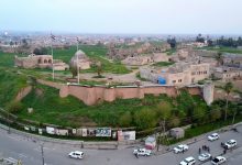 أصحاب الستوتات