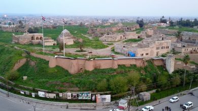 أصحاب الستوتات