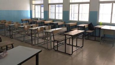 تربية صلاح الدين