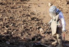 شؤون الألغام