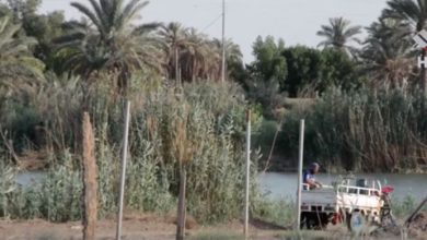 الفرات