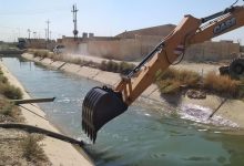 والرضوانية