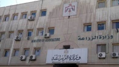 المتفرغين الزراعيين