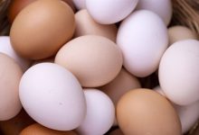 أسعار البيض