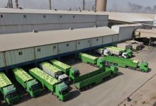 رحلة ترانزيت