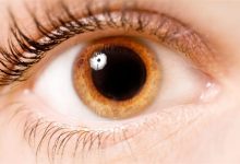 قزحية العين