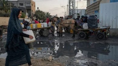 التهاب الكبد الوبائي