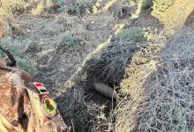 إلقاء القبض