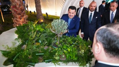 الأعمال التنفيذية