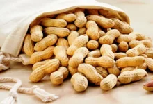 والذاكرة
