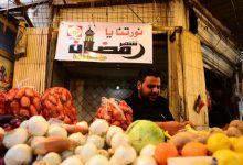 الزراعة