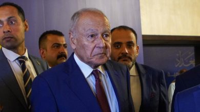 ابو الغيط