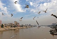 ودرجات الحرارة