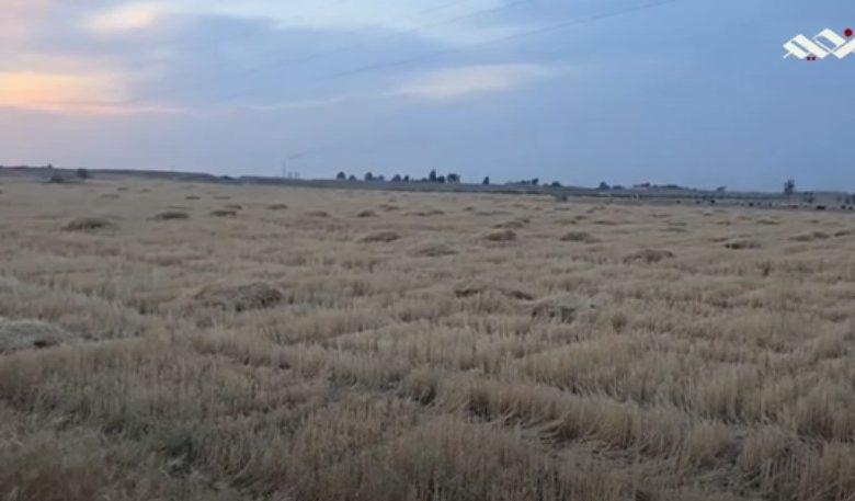 صلاح الدين