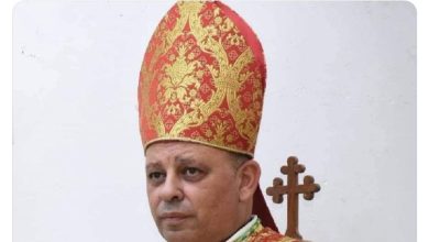 وزيرة الهجرة