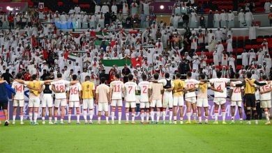الملحق الآسيوي