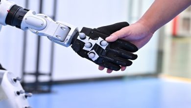ابتكار روبوتات حيوية لعمليات الإنقاذ