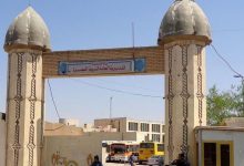 تربية البصرة