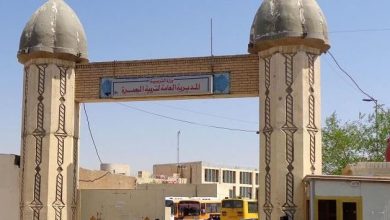 تربية البصرة