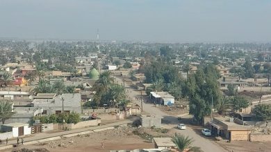 محافظ صلاح الدين