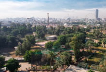 البيئة