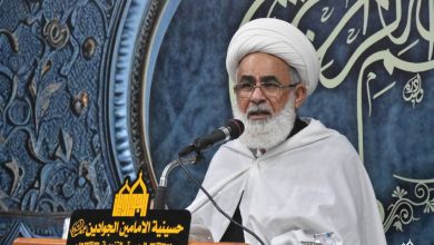 الشيخ الزيادي