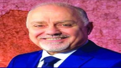 الإرادة الدولية