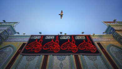 جهة سياسية