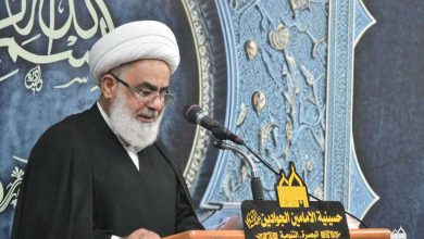 الشيخ الزيادي