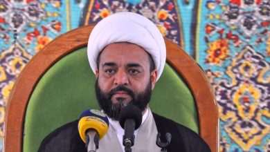 العمل السياسي