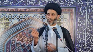 السيد الشوكي