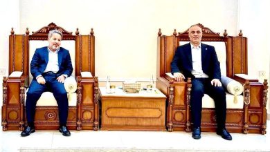 الاستقرار السياسي