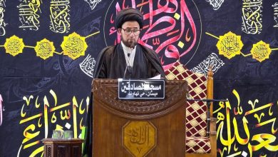 السيد الشوكي