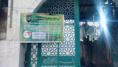 مدينة النجف