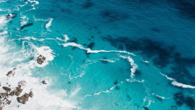 المحيط الهادئ