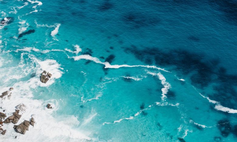 المحيط الهادئ